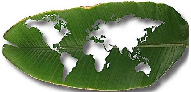 Fondo Verde por el Clima a punto de ser aprobado