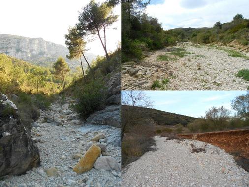 Descubren un nuevo hábitat subterráneo para fauna terrestre