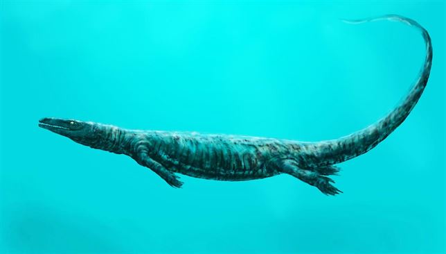 Demuestran que los mosasaurios eran animales de sangre caliente