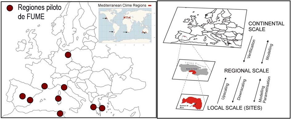 Investigadores del IFCA y de la UC participan en un proyecto internacional sobre incendios forestales y cambio climático