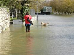 Euskadi abre el proceso de participación ciudadana sobre la futura Estrategia Vasca de Cambio Climático