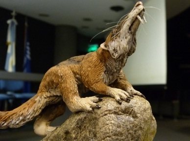 Cronopio: un mamífero que vivía entre dinosaurios