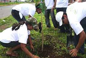 Movilizará Nicaragua 350 mil jóvenes en tareas forestales