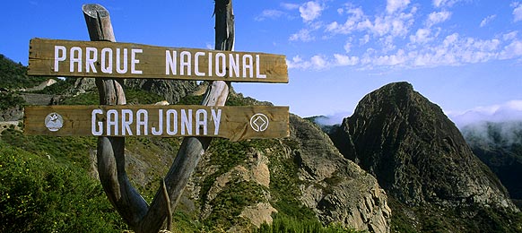 Parque Nacional de Garajonay gestionado con recursos insuficientes