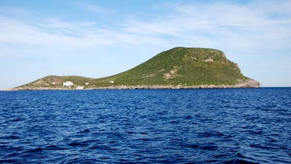 ANSE y WWF se sumergen  para pedir la protección de Isla Grosa