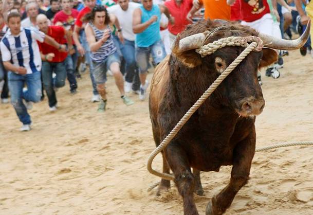 Expediente sancionador al Ayuntamiento de Astudillo (Palencia) por un toro enmaromado