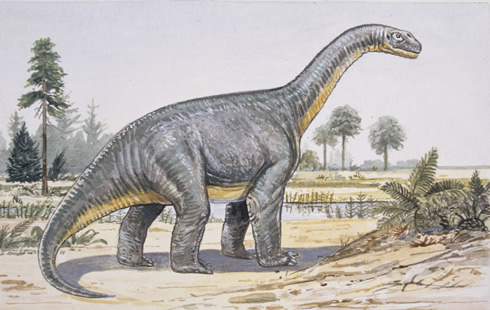 Los dinosaurios eran reptiles de ‘sangre caliente’