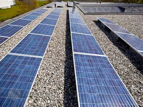 Canadian Solar still optimistic despite drop in revenues