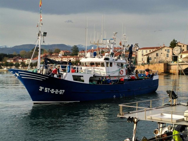 España y Portugal presentarán antes del 4 de diciembre a Bruselas un plan para la sardina ibérica