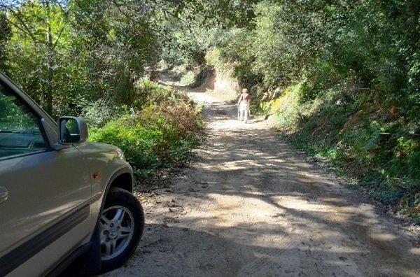 La carretera del Parc Natural del Montseny deberá someterse a impacto ambiental