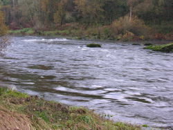 Adega exige la aplicación "inmediata" de la Ley de protección de ríos tras el vertido en el Ulla (Lugo)