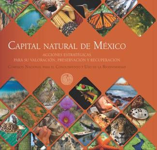 México. Seminario en el Día Mundial del Ambiente