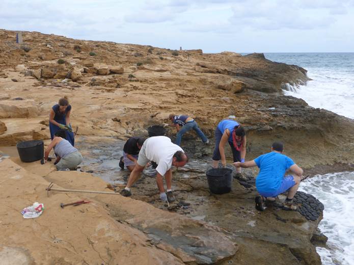 Limpieza de la duna fósil del parque de Calblanque