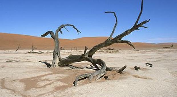 El Estado invertirá la ‘miseria’ de 12 millones en cambio climático