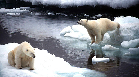 La temperatura media del planeta aumentará ‘sí o sí’ 2ºC al final del siglo