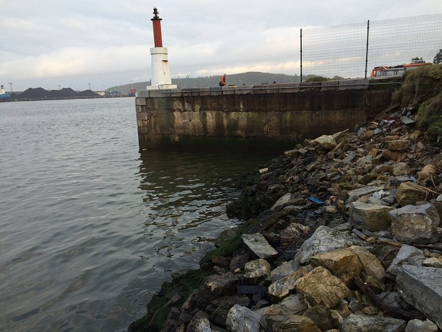 Asturias. Sigue haciendo mucho galipote en la ría de Avilés