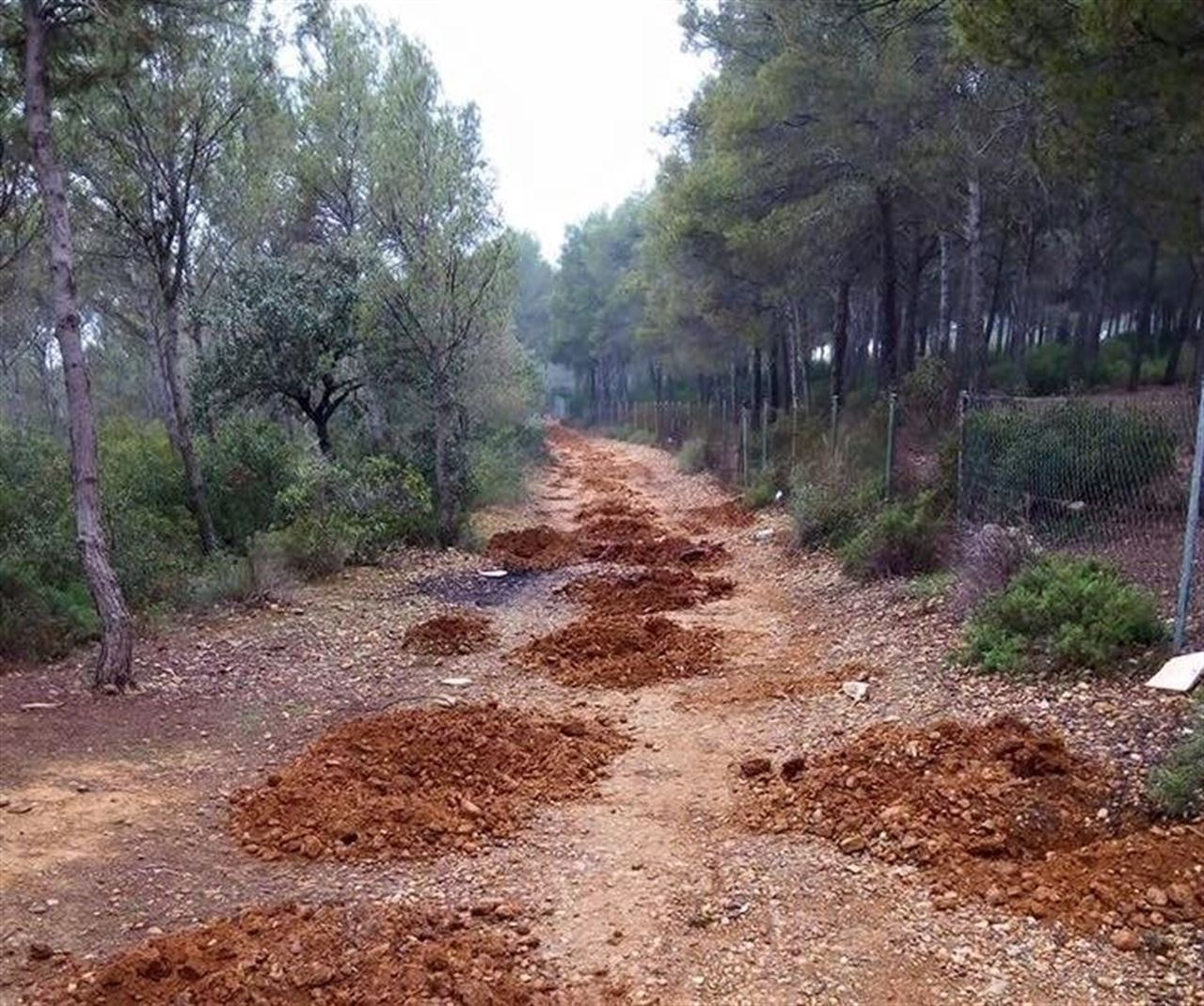 Arganda del Rey para las labores forestales de la Comunidad de Madrid en la Dehesa El Carrascal