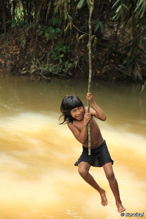 Al descubierto: en tierras awás hay diez veces más invasores que indígenas de esta tribu