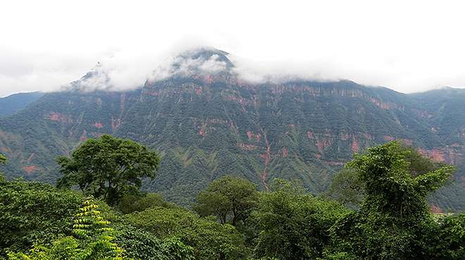 A 10 años de un hito ambiental: la sanción de Ley de Bosques