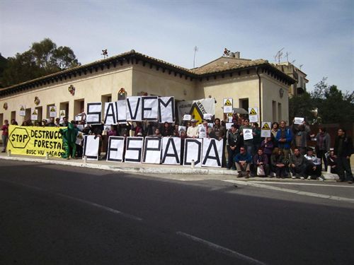 Castellón. Bosc Viu denuncia los ‘destrozos forestales’ en la Sierra de Espadán