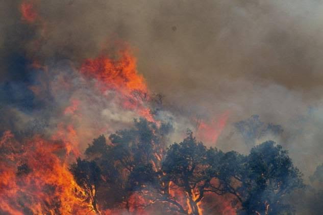 Estabilizado un incendio forestal en Portbou (Girona)