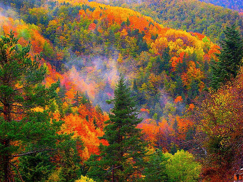 “La ruta de los orígenes”