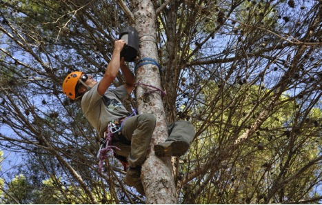 Mejorar la biodiversidad urbana