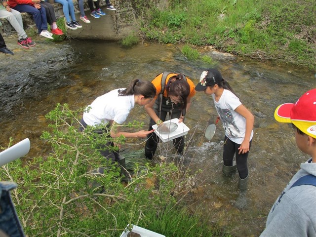 Medio millar de escolares en el programa EducaDuero de la CHD