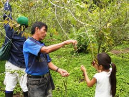 Dando un respiro al Amazonas...