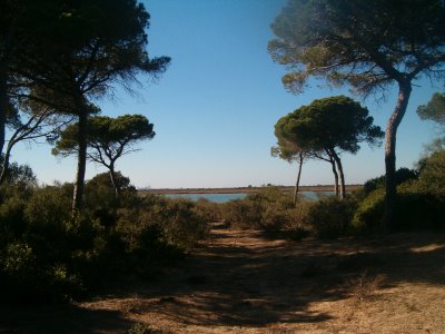 ACS se adjudica un contrato por 2