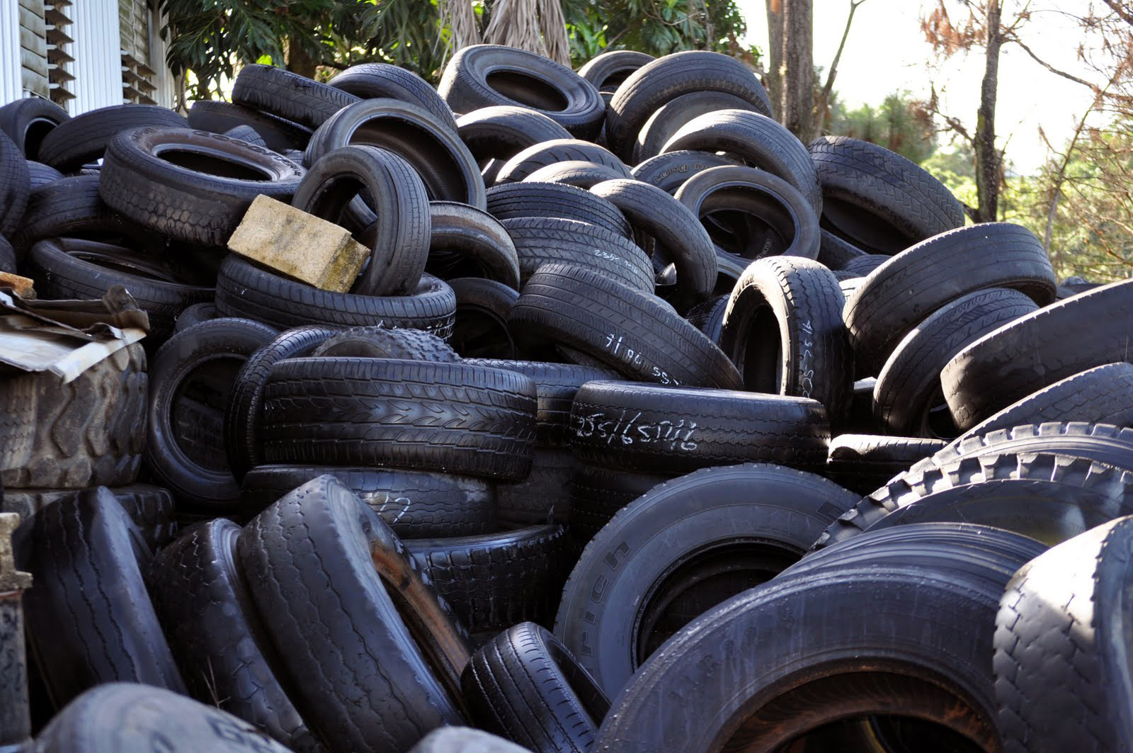 México. UNAM obtiene productos de alto valor al innovar en llantas desechadas