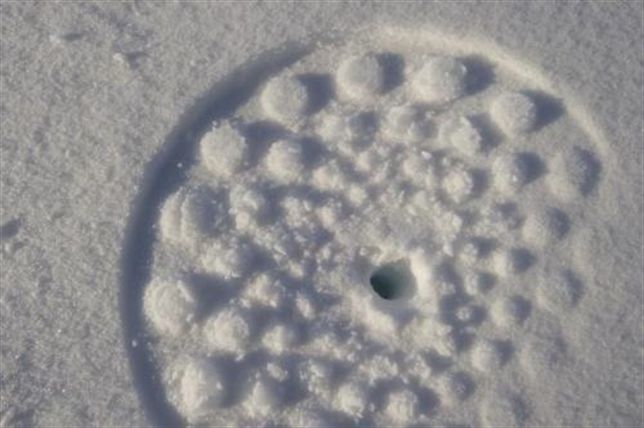 La nieve marina en el Ártico ha disminuido un tercio desde 1950