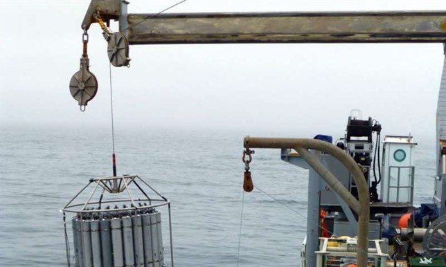 Descubre el microbio marino que puede luchar contra el cambio climático