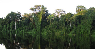 Colombia y Reino Unido