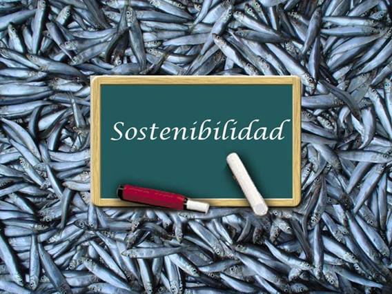 Por una pesca sostenible