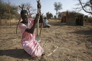 Sudafrica. Los hogares pobres dependen de productos forestales no maderables en tiempos de crisis