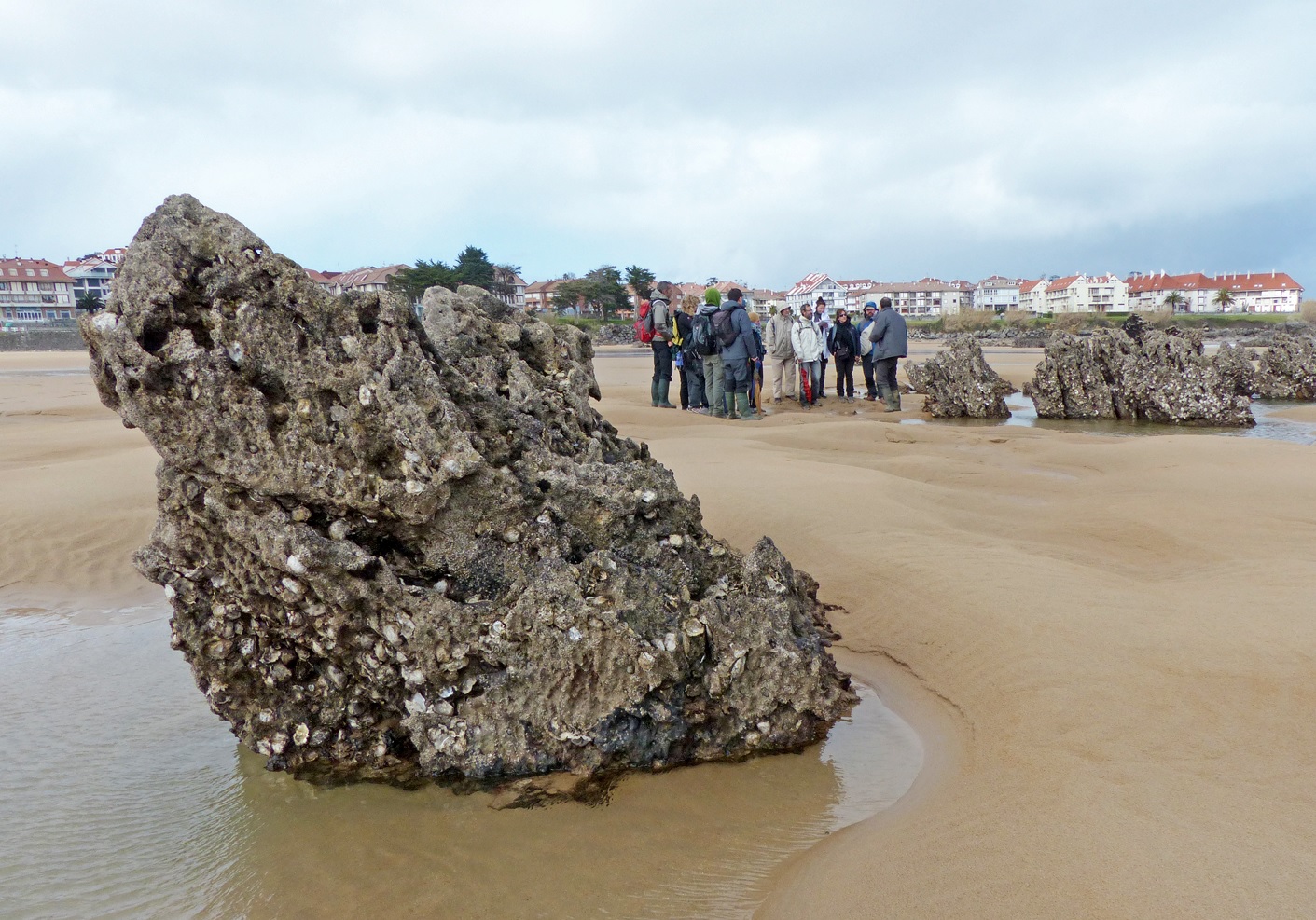 Comienza este fin de semana ‘Noja museo vivo’ un ciclo de talleres para conocer y formarse en la naturaleza