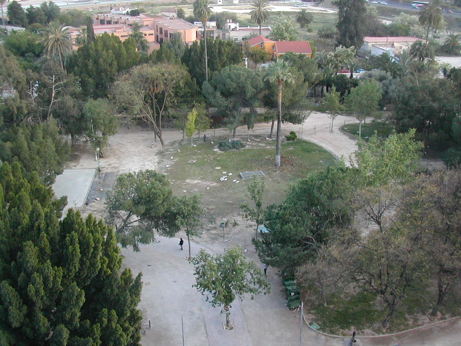 El Ayuntamiento de Murcia recuperará las más de 30 especies de árboles que existían en el Jardín del Malecón