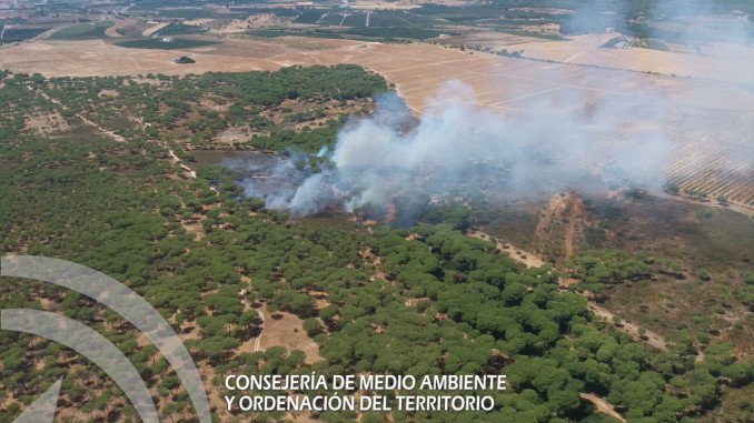 Controlado definitivamente el incendio forestal en un paraje natural entre Gibraleón y Cartaya (Huelva)