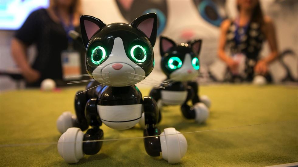 Dicen que este será el zoo de un futuro