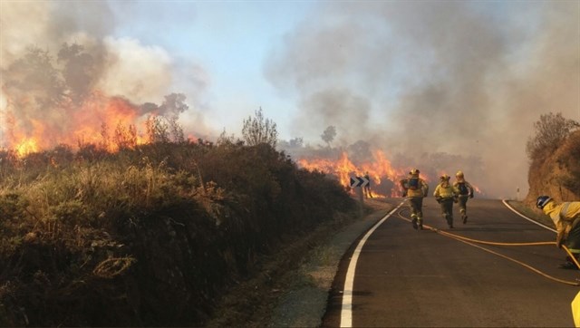 Declarado un incendio forestal en La Palma del Condado (Huelva)