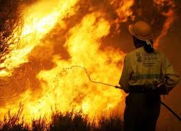 1.000 millones de pérdidas en los incendios forestales de Valencia