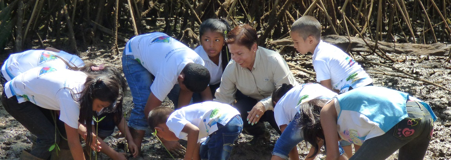 Panamá. Destacan el rol de los manglares para prevenir desastres en Chiriquí Oriente
