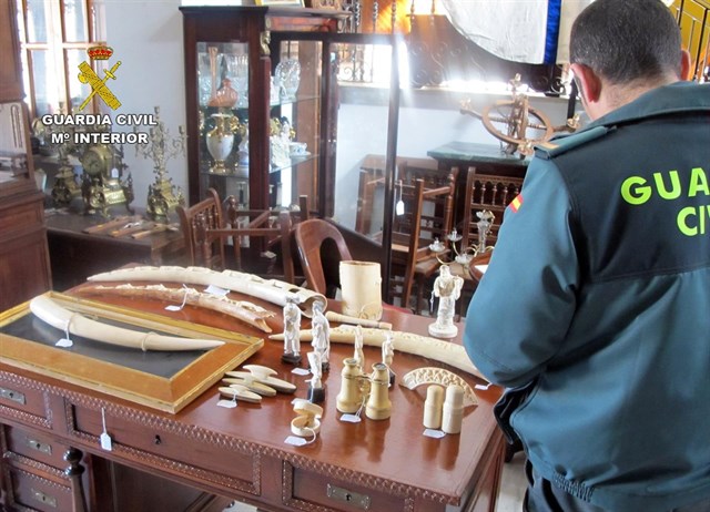 Turkish Airlines se compromete a frenar el comercio ilegal de especies y a concienciar a pasajeros y personal