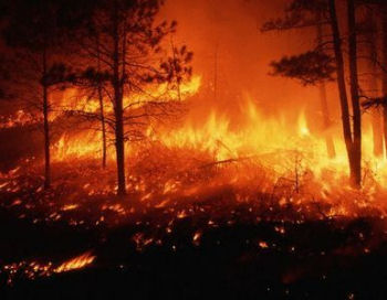 El verano 2011 se saldó con 408 incendios forestales en Navarra