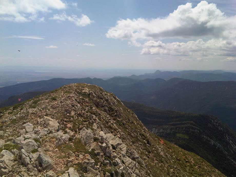 Exposición Naturaleza de la Hoya