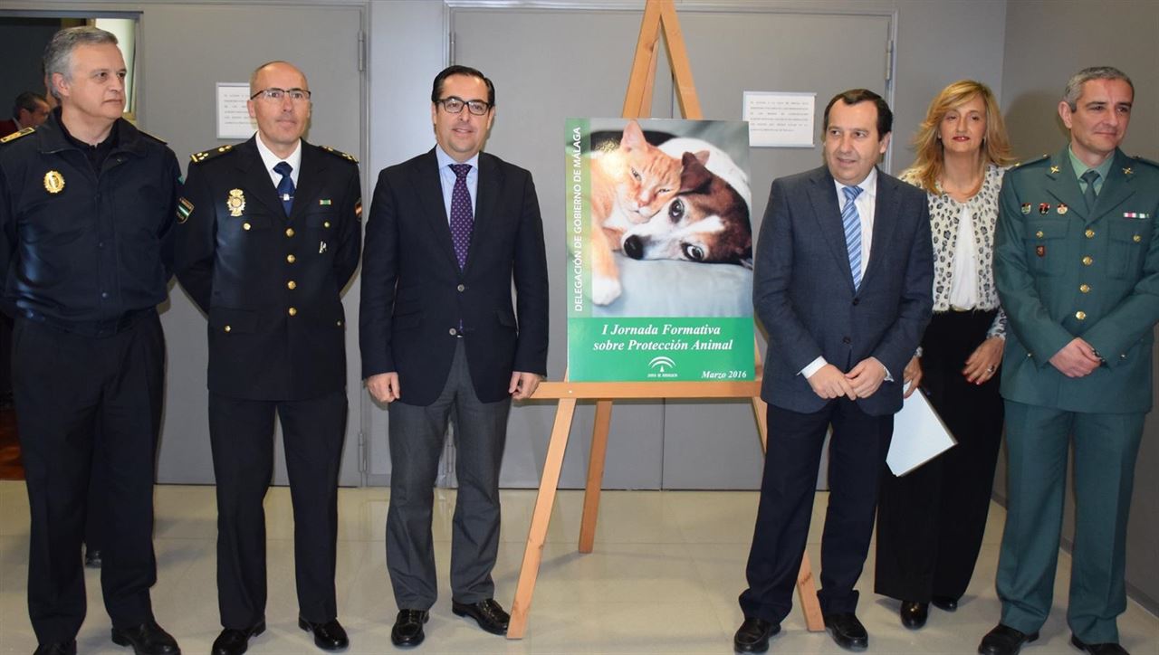 Cientos de expedientes sancionadores en Andalucía a propietarios de animales