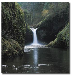 El ejecutivo aprueba el Real Decreto que modificará la normativa de las cuencas hidrográficas