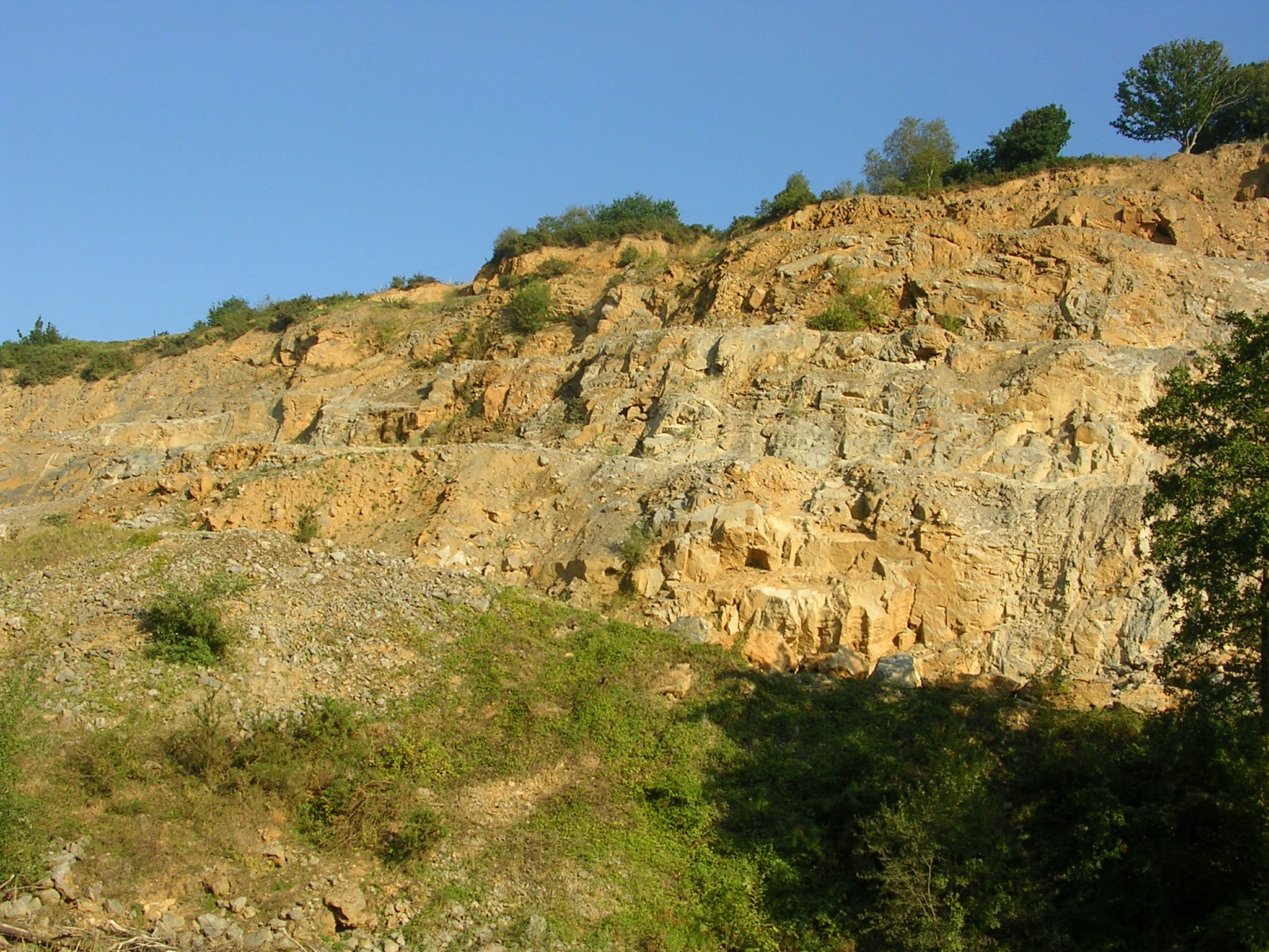 Asturias. Otro proyecto de investigación minera para Piloña