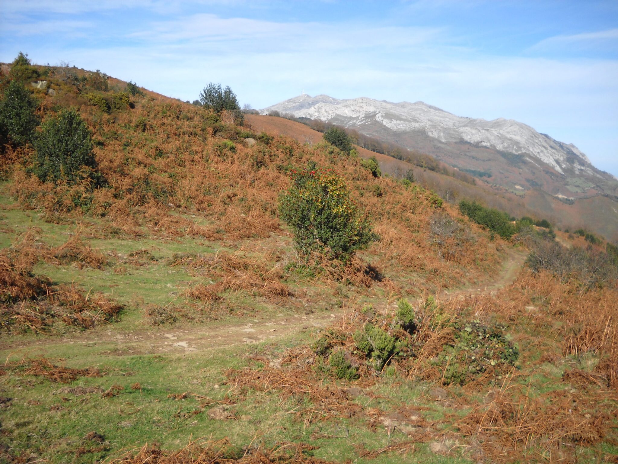 Sugerencias al Proyecto de Mina Julita en Lena